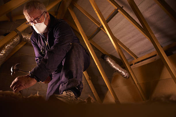 Best Insulation Removal  in Bridgeport, NY